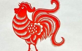 属鸡的今年多少岁(属兔的今年多少岁)