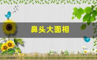 鼻头大面相(鼻头大面相男)