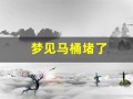 梦见马桶堵了(梦见马桶堵了什么预兆)