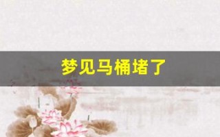梦见马桶堵了(梦见马桶堵了什么预兆)