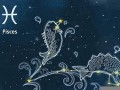 双鱼座是几月几日(摩羯座是几月几日出生的)