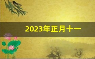 2023年正月十一(2023年正月十一美女送祝福图片)