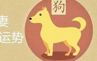 属狗的和什么属相最配(属虎的和什么属相最配)