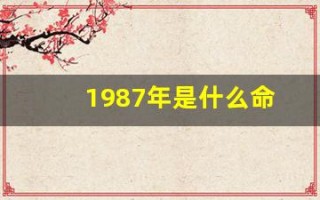1987年是什么命(1987年农历6月29日是什么命)