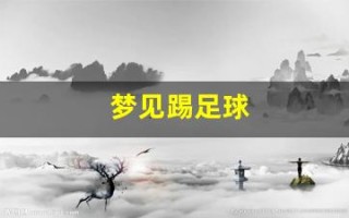 梦见踢足球(梦见踢足球是什么预兆周公解梦)