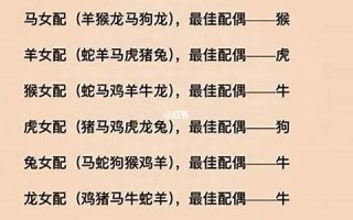 12生肖男女最佳配对表(12生肖男女最佳配对表鸡的最佳配对)