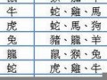 十二生肖最佳姻缘配对(十二生肖最佳姻缘配对马和猪)