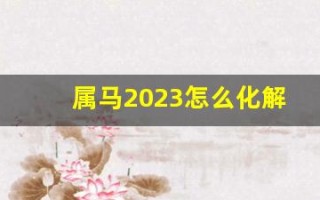 属马2023怎么化解太岁(属马的2023)