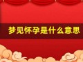 梦见怀孕是什么意思(未婚梦见怀孕是什么意思)