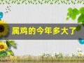 属鸡的今年多大了(属狗的今年多大了)