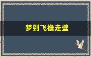 梦到飞檐走壁(梦到飞檐走壁武功很厉害吗)