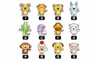 十二肖(十二肖排行表)