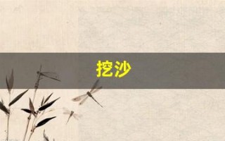 挖沙(挖沙子犯法吗)