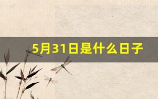 5月31日是什么日子(2025年5月31日是什么日子)