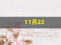 11月22(11月22什么星座是什么星座)