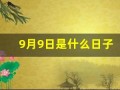 9月9日是什么日子(每年11月9日是什么日子)