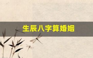 生辰八字算婚姻(生辰八字算婚姻免费测试)