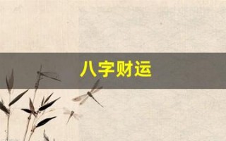 八字财运(八字财运怎么看)