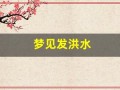 梦见发洪水(梦见发洪水自己逃生成功)