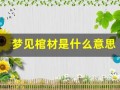 梦见棺材是什么意思(周公解梦梦见棺材是什么征兆)