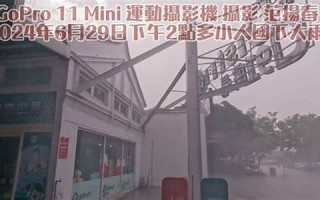 6月29(6月29日到今天一共多少天)