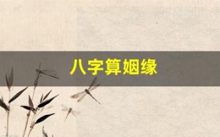 八字算姻缘(八字算姻缘的口诀)