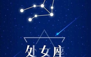 处女座的旅途(处女座的旅途txt)