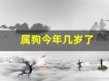 属狗今年几岁了(属狗今年几岁了2024)