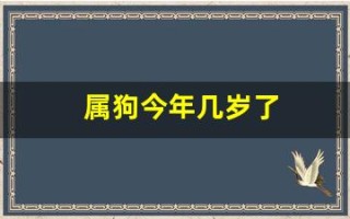 属狗今年几岁了(属狗今年几岁了2024)