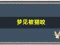 梦见被猫咬(梦见被猫咬了是什么预兆)