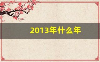 2013年什么年(2013年什么年号)