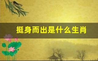 挺身而出是什么生肖(挺身而出的生肖是什么)