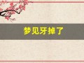 梦见牙掉了(梦见牙掉了一颗)