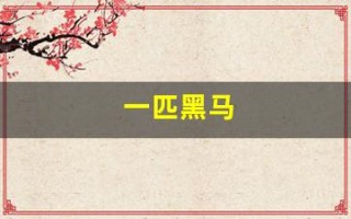 一匹黑马(中海达股票未来会是一匹黑马)