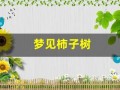 梦见柿子树(梦见柿子树上挂满了红红的柿子)