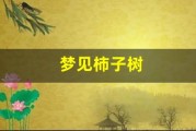 梦见柿子树(梦见柿子树上挂满了红红的柿子)