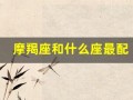 摩羯座和什么座最配(摩羯女和什么星座男最相配)