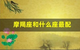 摩羯座和什么座最配(摩羯座是土象还是水象)