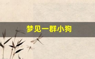 梦见一群小狗(梦见一群小狗咬我是什么意思)
