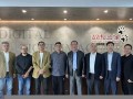 数虎(数虎的和数什么属相的合适)