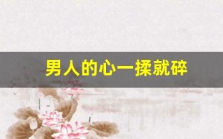 男人的心一揉就碎(男人的心一揉就碎是什么歌)