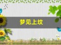 梦见上坟(梦见上坟磕头下跪)