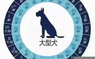 属狗是多大(82年属狗人42岁过七劫)