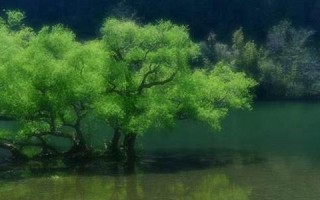 2016年5月4日(2016年5月4日是什么星座)