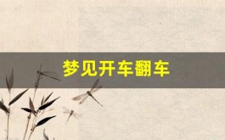 梦见开车翻车(梦见开车翻车了是什么预兆)