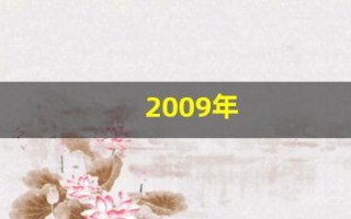 2009年(2009年属牛是什么命)
