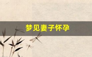 梦见妻子怀孕(丈夫梦见妻子怀孕)