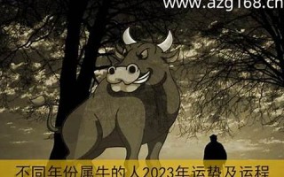 牛年运程(牛年运程2024生肖年运程)
