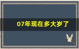 07年现在多大岁了(07年现在多大岁了过完生日)