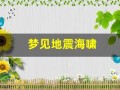 梦见地震海啸(梦见地震海啸逃难什么意思)